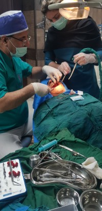 سید جواد زمانیه